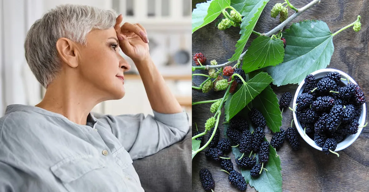 Remédios Naturais para Redução dos Sintomas da Menopausa: Alívio Sem Efeitos Colaterais