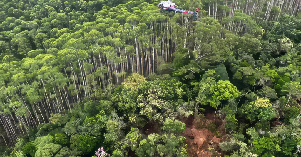 Helicóptero Desaparecido em SP é Encontrado Após 12 Dias de Buscas