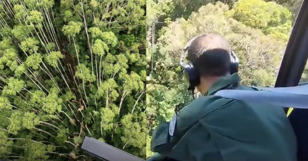 dentidade dos Ocupantes do Helicóptero Encontrado em SP Após 12 Dias de Buscas