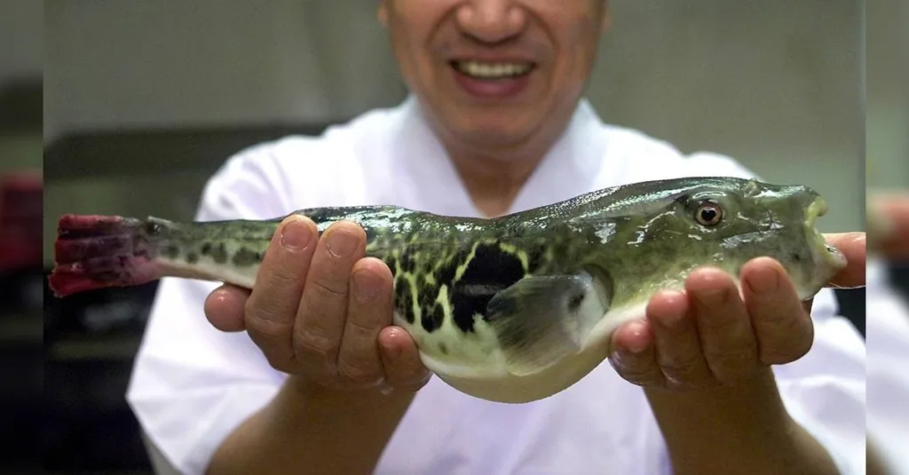 Três Integrantes de uma Família Falecem Após Ingerirem Peixe